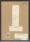 Actinocyclus crassus V. H. (de-Toni-Nr.: Genus 195, Species 4761) Zeichnungen Sammlung Grunow Nr. 8397 (NHMW-BOT-W0377833)